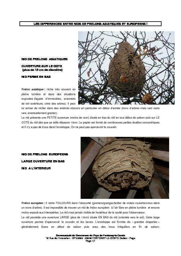 les differences entre nids de frelons asiatiques et europeens