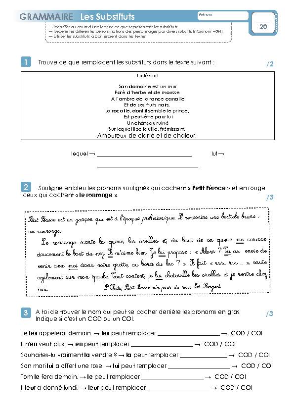 [PDF] GRAMMAIRE Les Substituts
