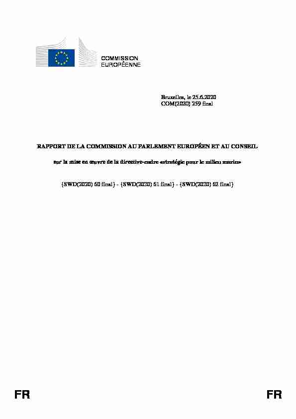 Rapport sur la mise en œuvre de la directive-cadre «stratégie pour