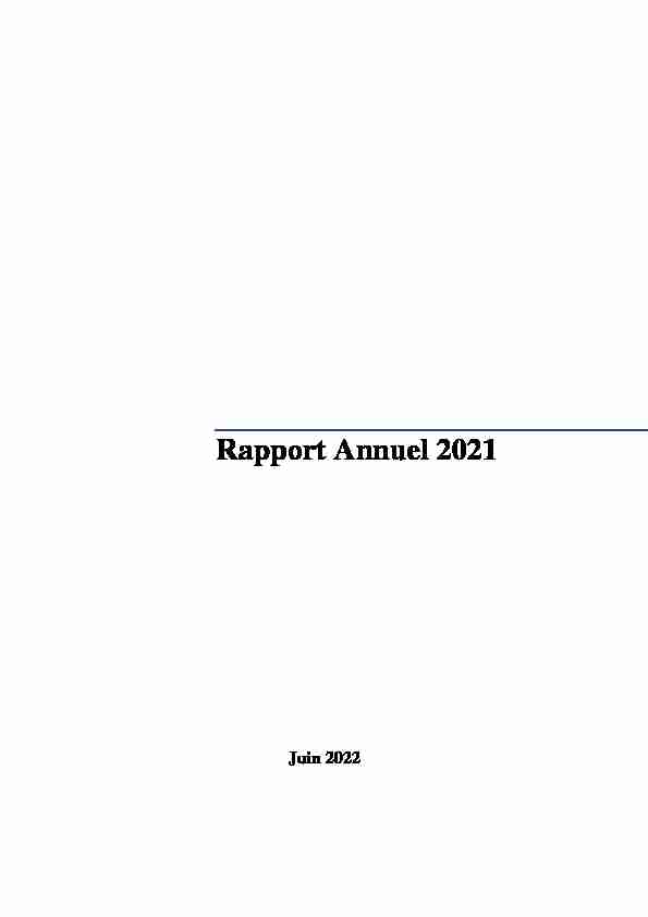 Rapport Annuel 2020