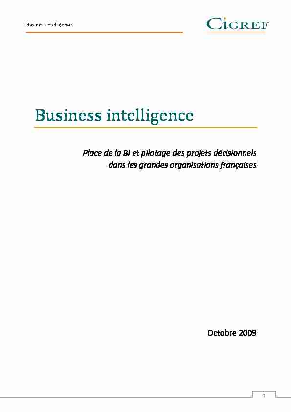 Business Intelligence : Place de la BI et pilotage des projets