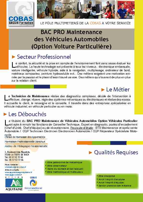 BAC PRO Maintenance des Véhicules Automobiles (Option Voiture