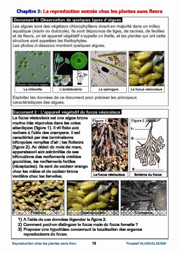 [PDF] La reproduction sexuée chez les plantes sans fleurs - AlloSchool