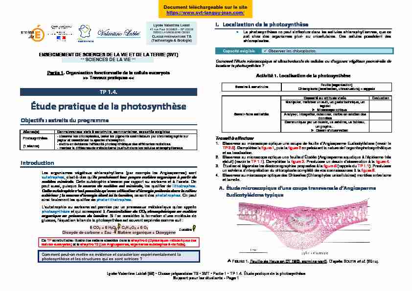 SVT TB TP 1.4. - Photosynthèse - T. JEAN - BCPST Capes
