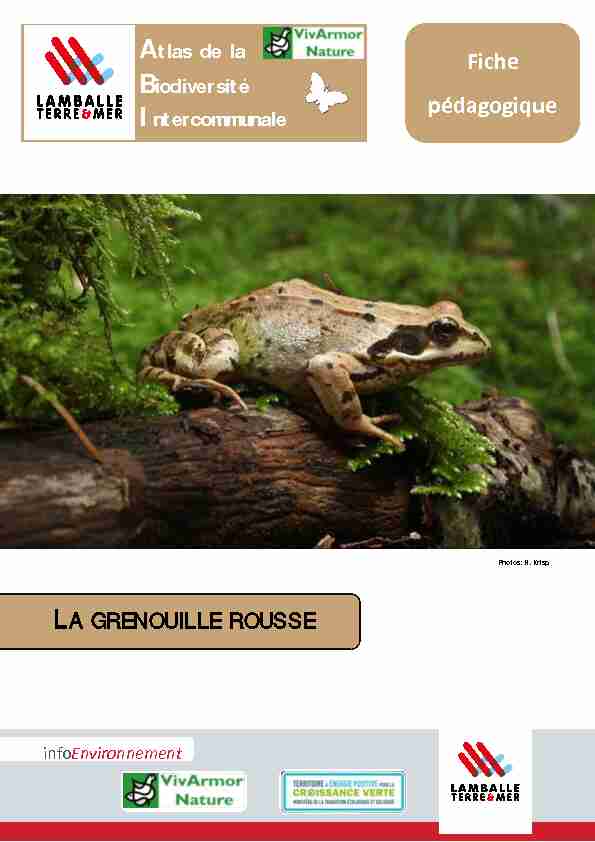 Grenouille-rousse.pdf