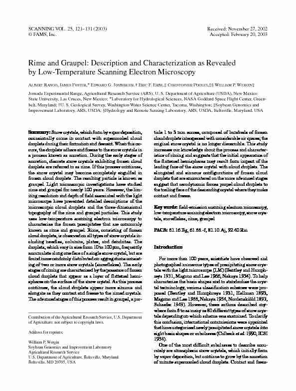 Rime and graupel: Description and characterization as revealed by