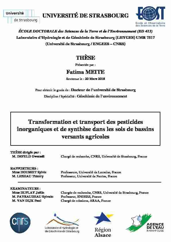 Transformation et transport des pesticides inorganiques et de