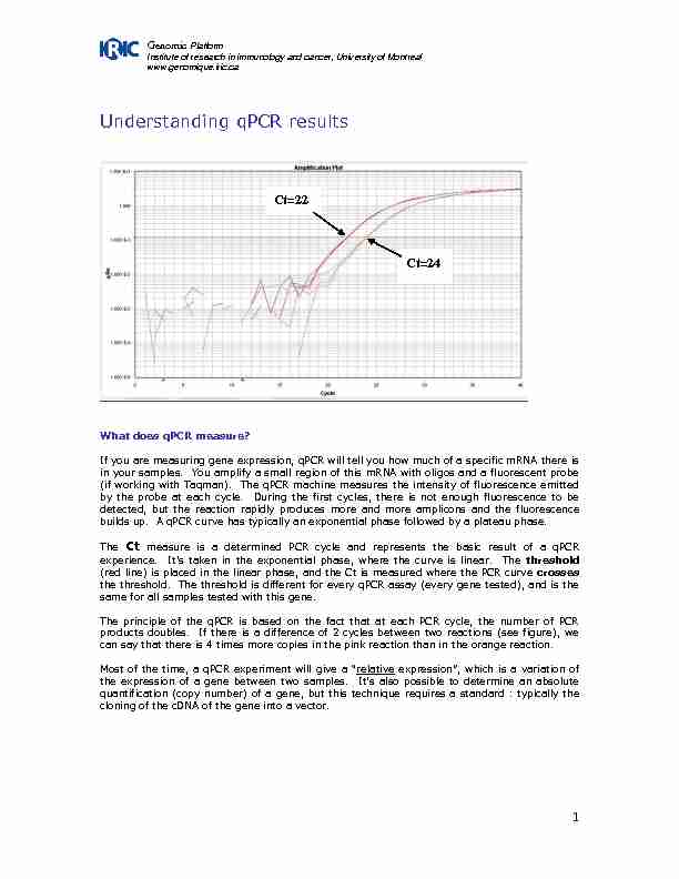 Understanding qPCR results