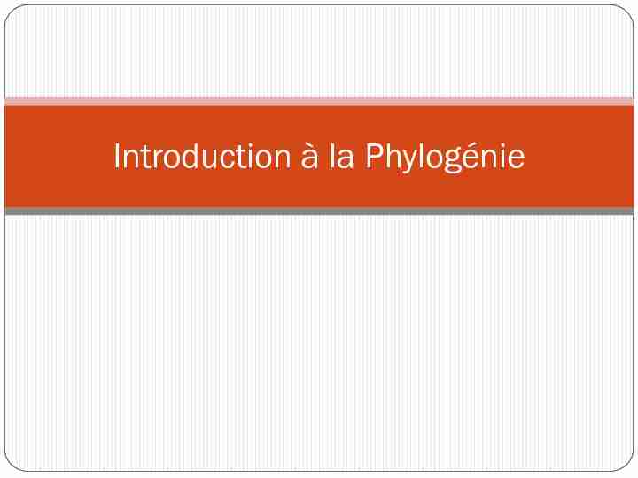 Introduction à la Phylogénie
