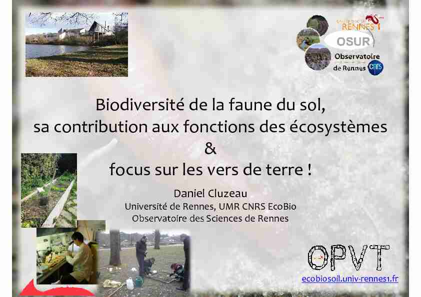 [PDF] Biodiversité de la faune du sol sa contribution aux fonctions des