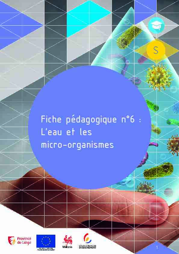 Fiche pédagogique n°6 : Leau et les micro-organismes