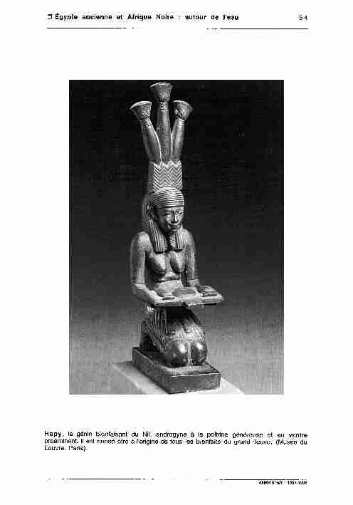 Égypte ancienne et Afrique Noire : autour de leau