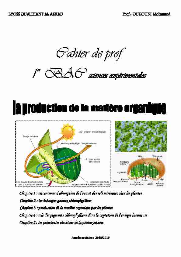 les-echanges-gazeux-chlorophylliens-et-la-production-de-la