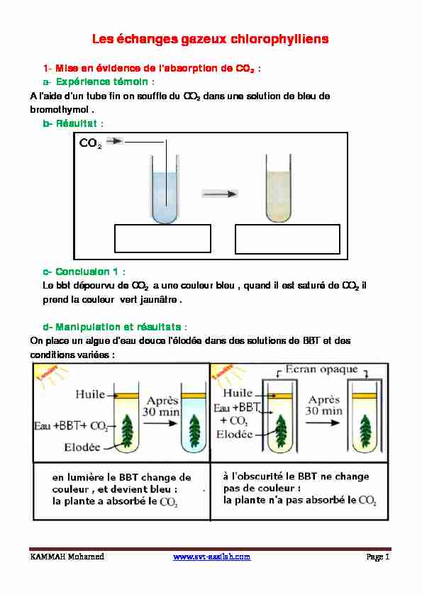 [PDF] Les échanges gazeux chlorophylliens