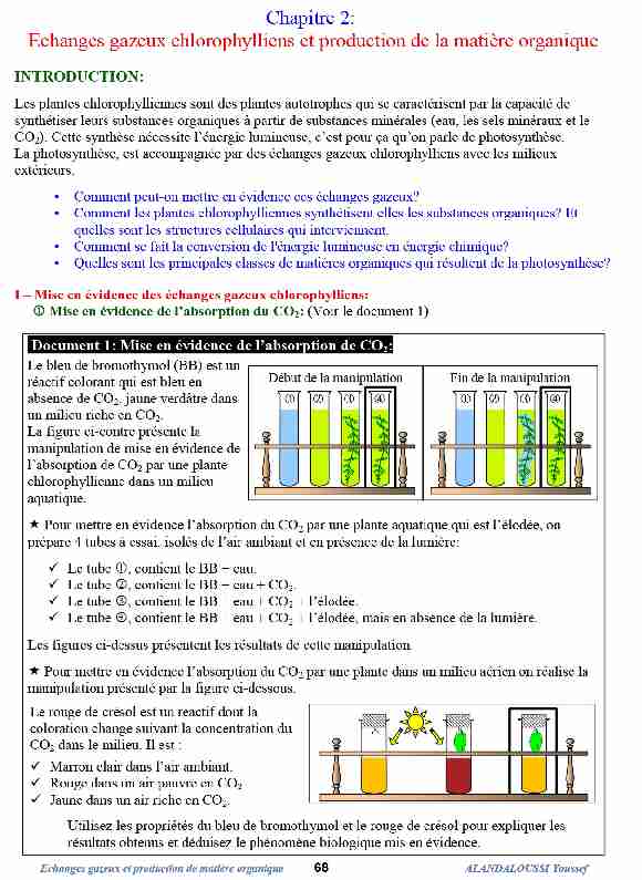 [PDF] Echanges gazeux chlorophylliens et production de la matière