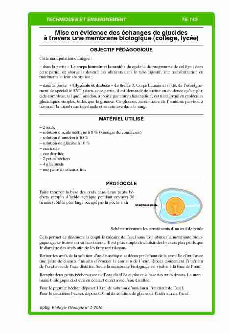 [PDF] Mise en évidence des échanges de glucides à travers une  - APBG