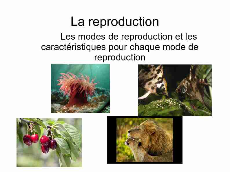 La reproduction