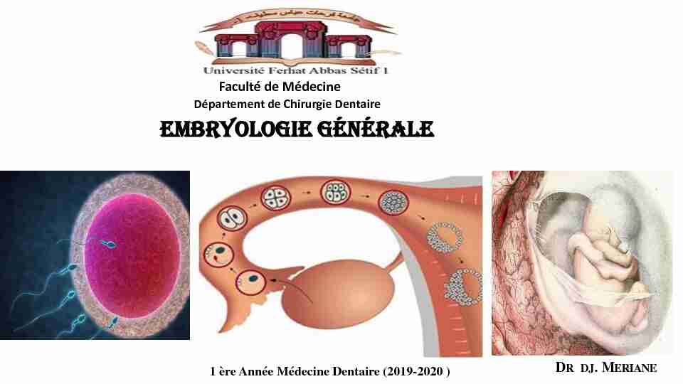 [PDF] embryologie générale - Faculté de Médecine