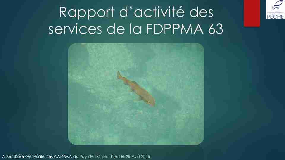 Rapport dactivité des services de la FDPPMA 63