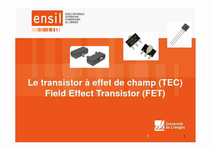 [PDF] Le transistor à effet de champ (TEC) Field Effect Transistor (FET)