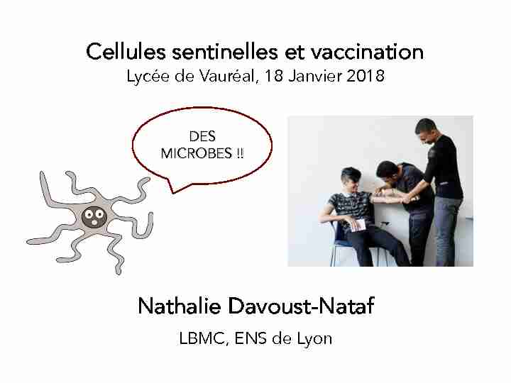 [PDF] Cellules sentinelles et vaccination - ENS Lyon