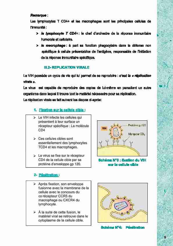 Remarque: - Les lymphocytes T CD4  et les macrophages sont les