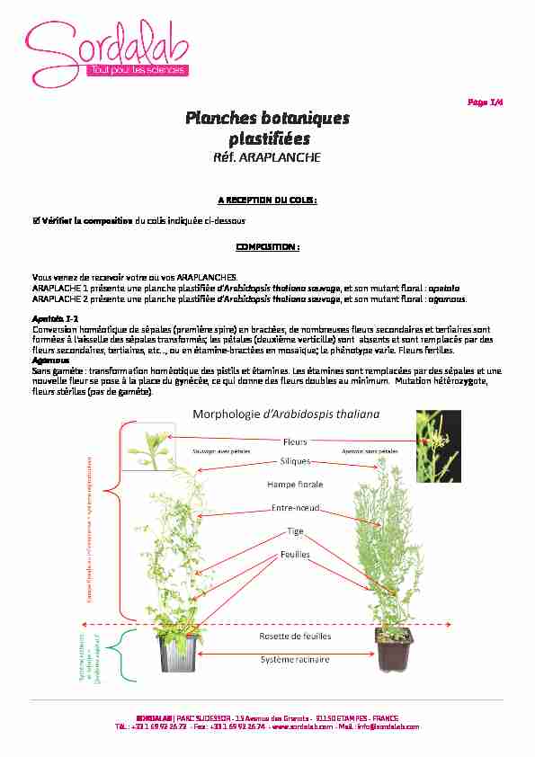 Page 1/4 Planches botaniques plastifiées