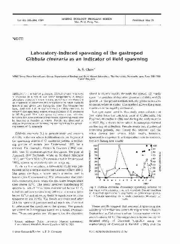 Laboratory-induced spawning of the gastropod Gibbula cineraria as