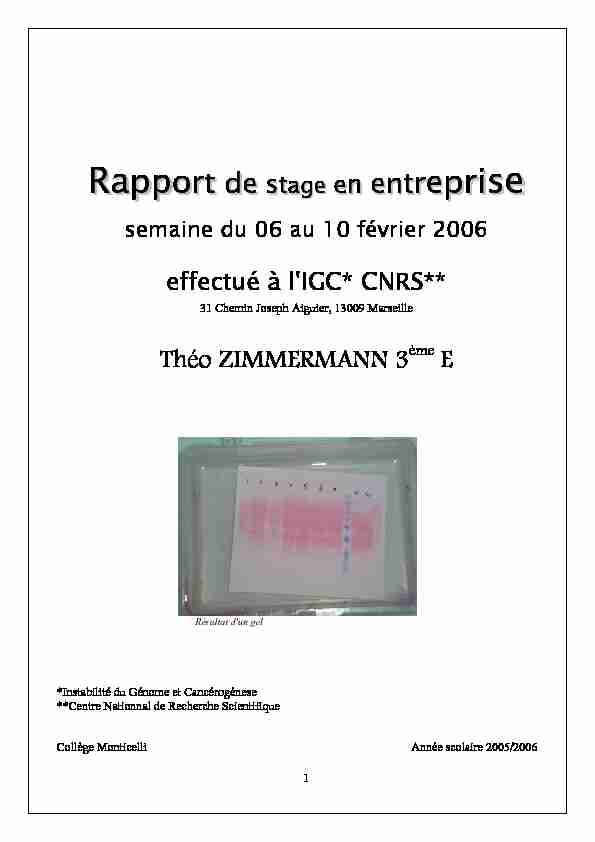 [PDF] Rapport de stage en entreprise - Théo Zimmermann