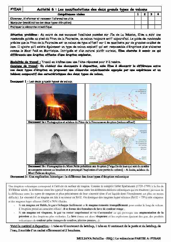 Activité 6 : Les manifestations des deux grands types de volcans