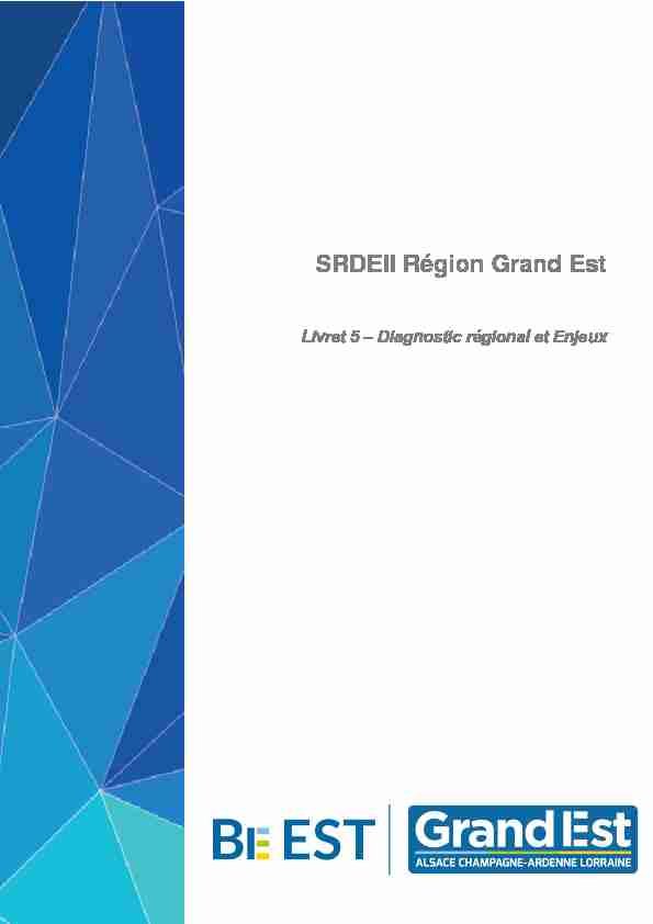 SRDEII Région Grand Est - Livret 5 – Diagnostic régional et Enjeux