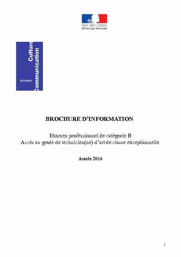 BROCHURE DINFORMATION - Examen professionnel de catégorie