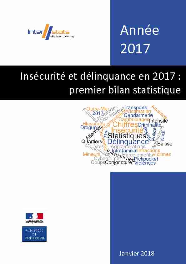 Insécurité et délinquance 2017 - Premier bilan statistique