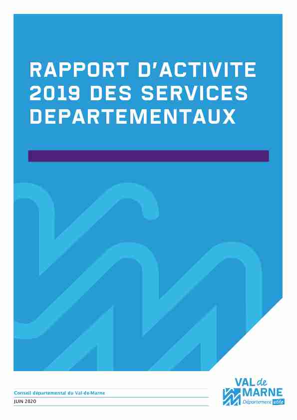 RAPPORT DACTIVITE 2019 DES SERVICES DEPARTEMENTAUX