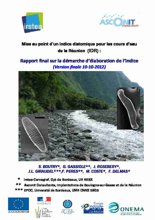 (Rapport final Irstea Indice Réunion 10-10-2012 corrigé)