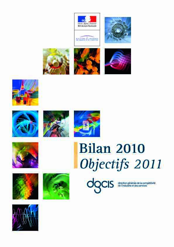 [PDF] dgcis-rapport-d-activite-2010pdf - entreprisesgouvfr