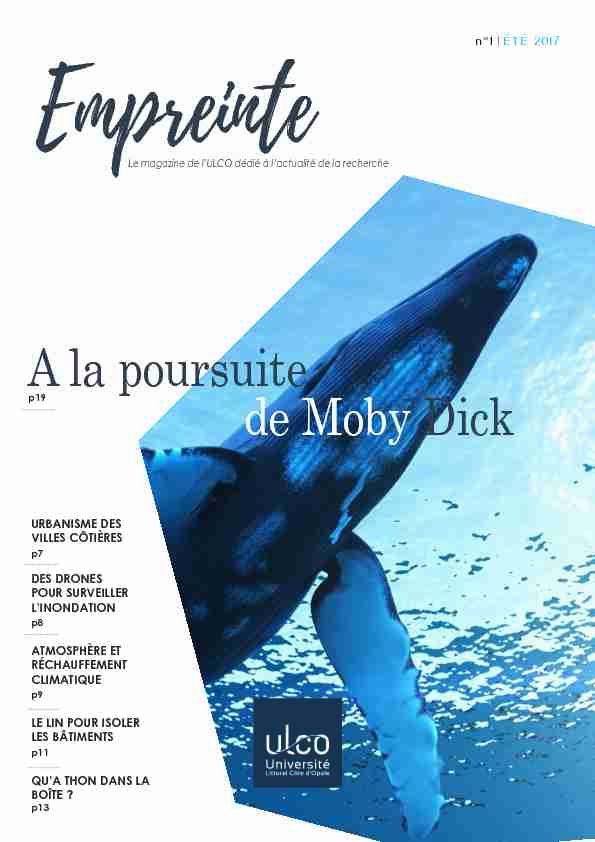 A la poursuite de Moby Dick