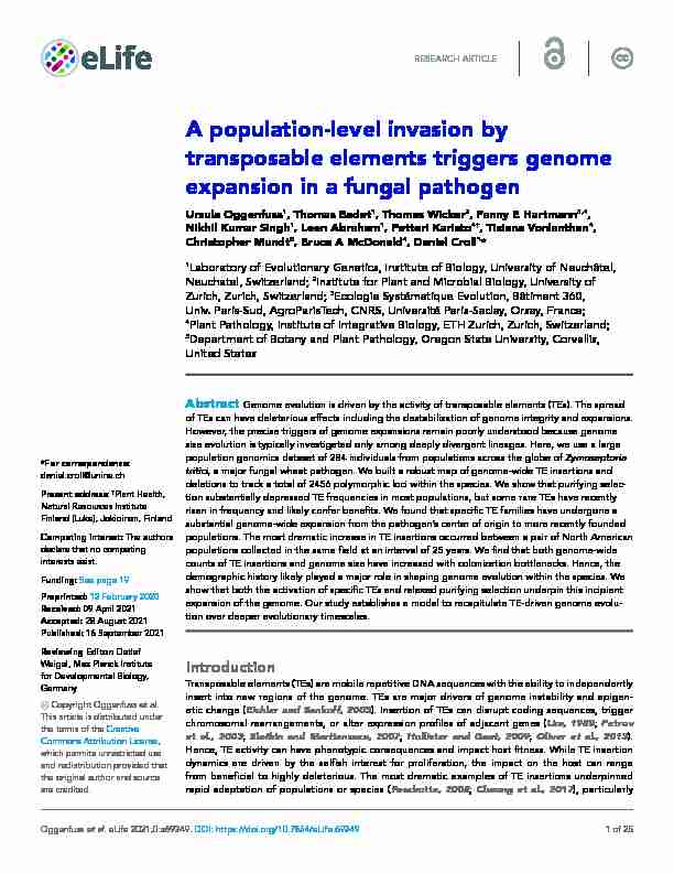 A population- level invasion by transposable elements triggers