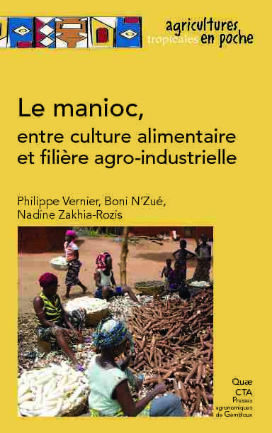 Le manioc entre culture alimentaire et filière agro-industrielle