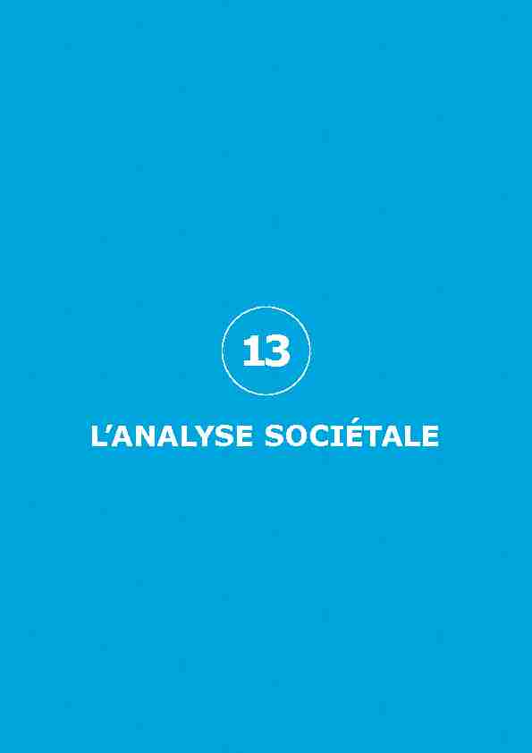 L'ANALYSE SOCIÉTALE - RTE