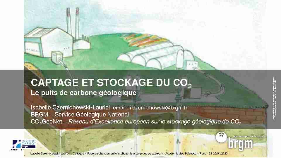 CAPTAGE ET STOCKAGE DU CO2 Le puits de carbone géologique