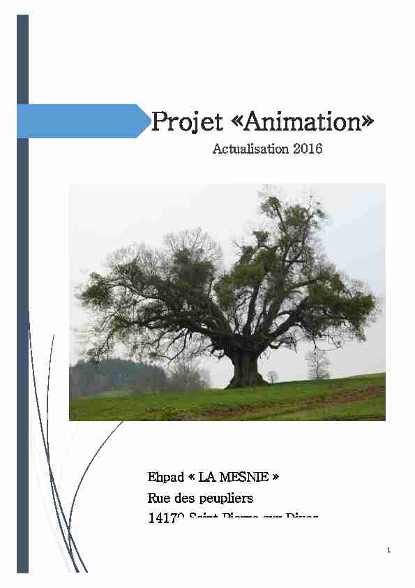 Projet « Animation »