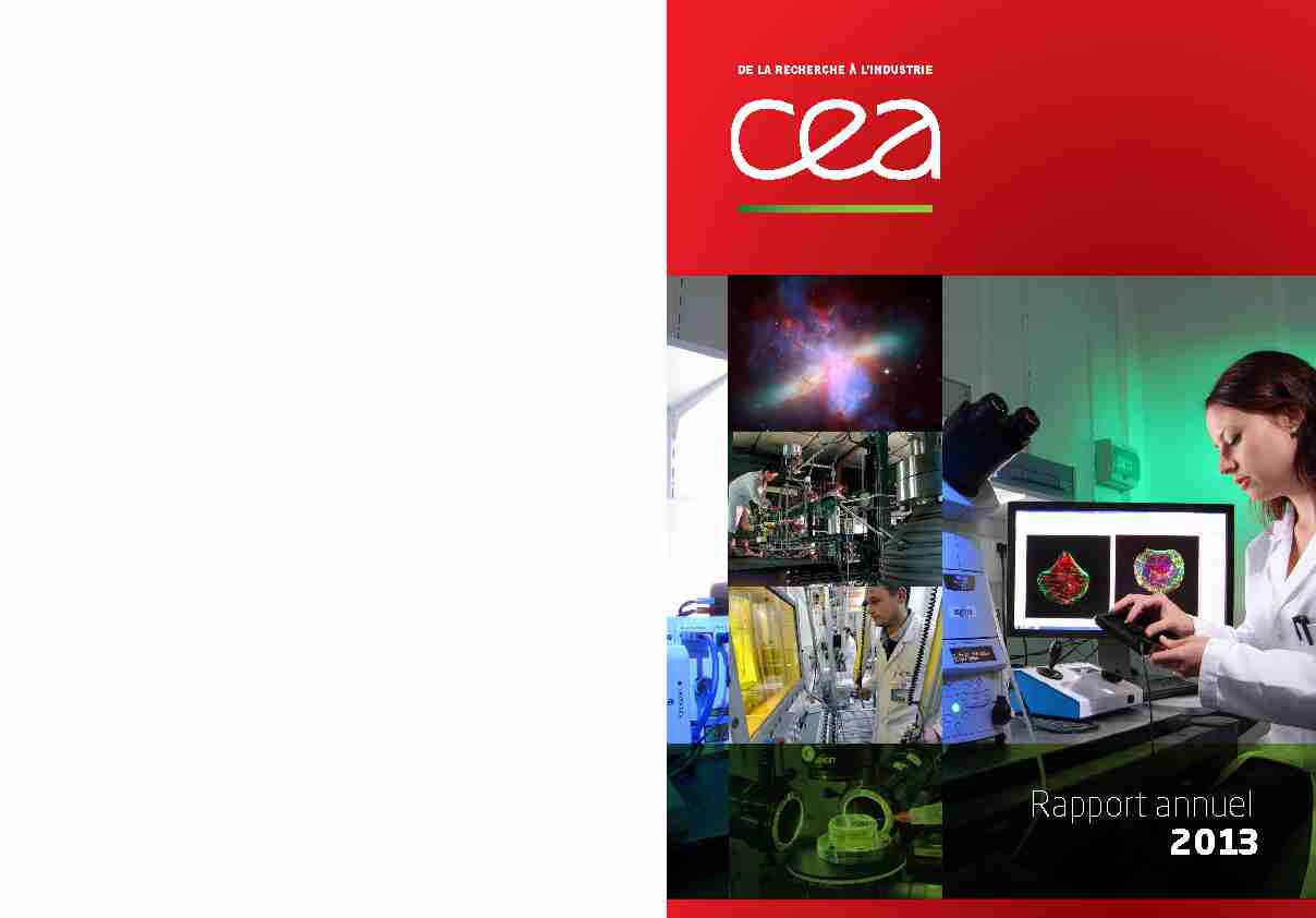 [PDF] Rapport annuel CEA 2013