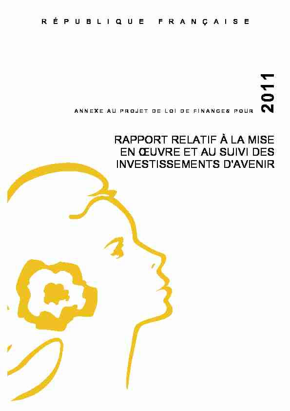 PLF 2011 - Jaunes - Rapport relatif à la mise en oeuvre et au suivi