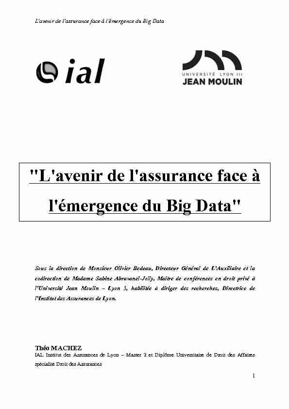 [PDF] MACHEZ Théo Lavenir de lassurance face à lémergence du Big Data