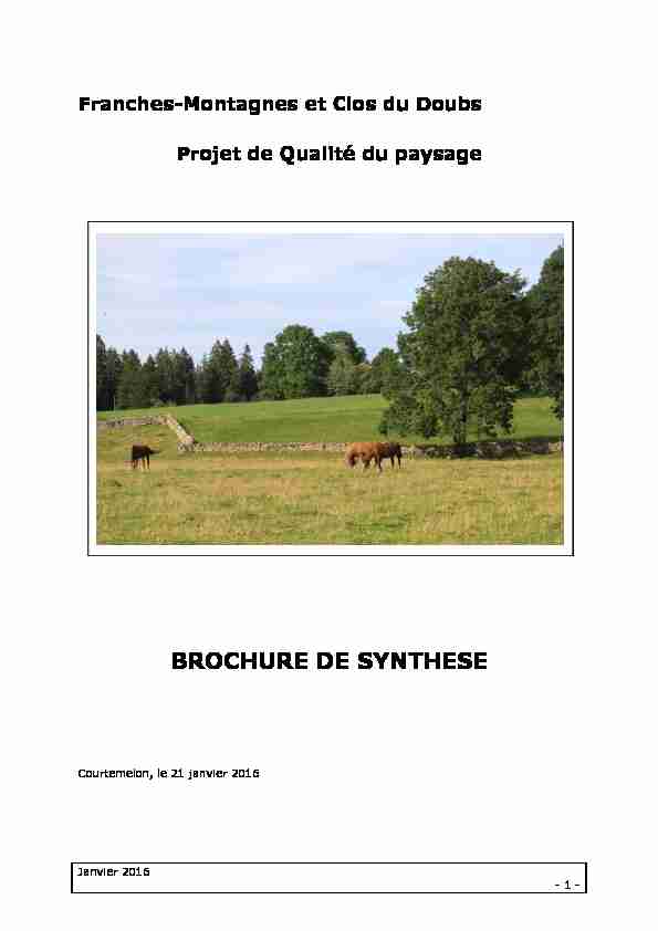 BROCHURE DE SYNTHESE