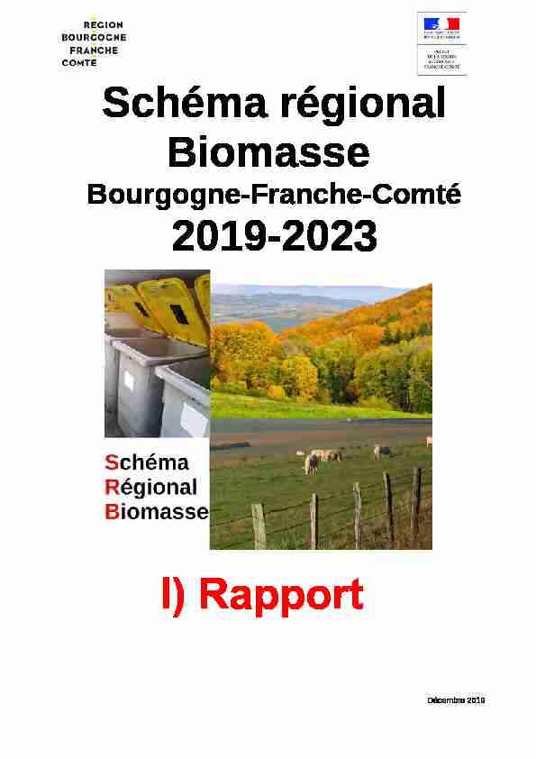 Schéma régional Biomasse 2019-2023 I) Rapport