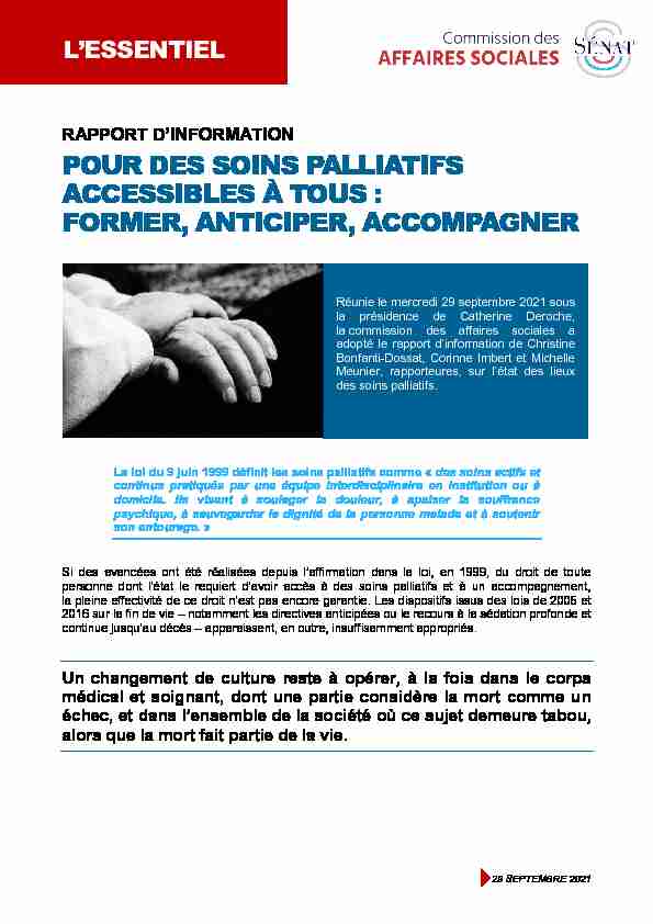 rapport dinformation - pour des soins palliatifs accessibles à tous
