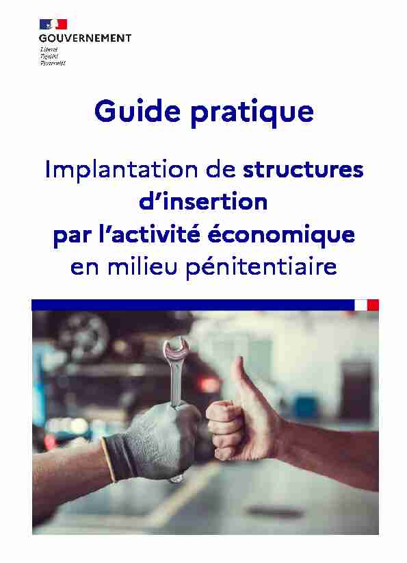 guide pratique « Implantation des structures dinsertion par lactivité