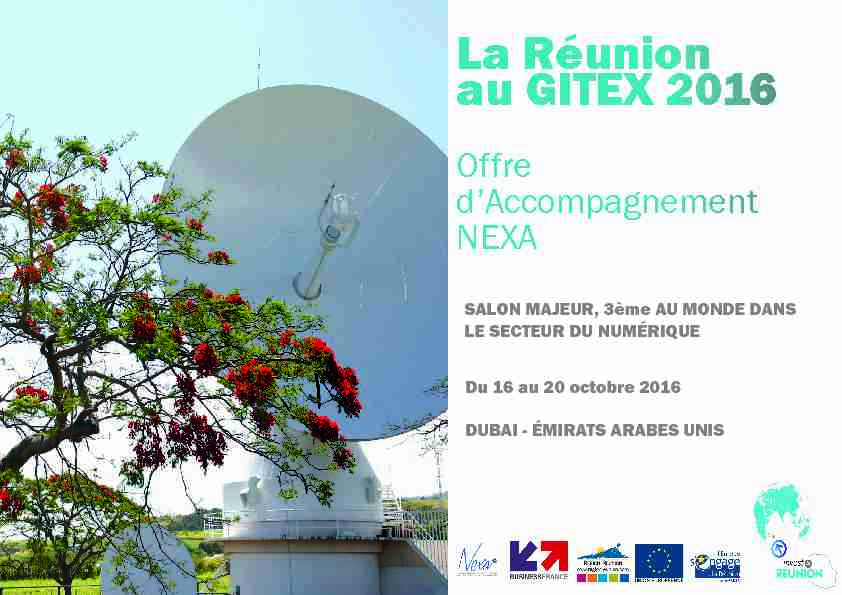 [PDF] La Réunion au GITEX 2016 - Nexa